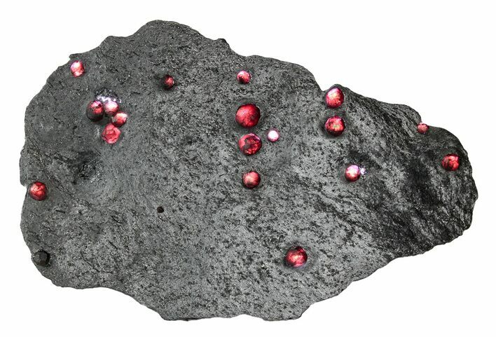 Plate of + Red Embers Garnets in Graphite - Massachusetts #301207